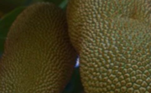 ���ݲ��}�ۺóԵľ���