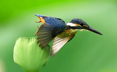 ���B�̌W(xu��)�O(sh��)Ӌ(j��)��˼