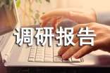 高校調(diào)研報(bào)告