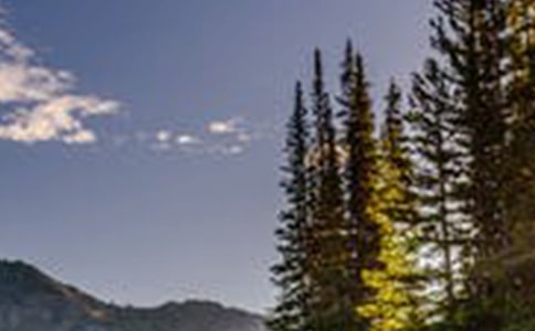 �L(f��ng)���zӰ���ù⼼��