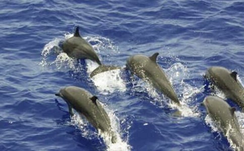 ���{(l��n)ɫ��`�����u���x��С�800�֡�