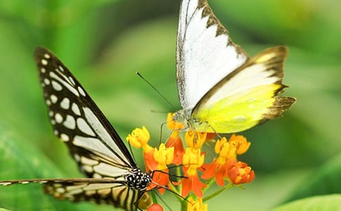 ����Ȫ��(d��o)���~�v��