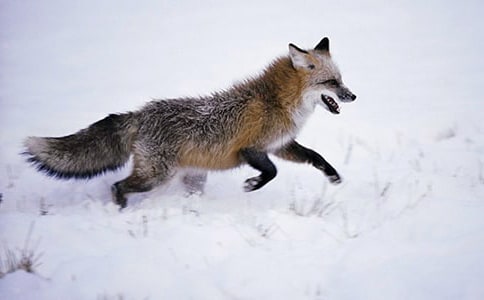 ����³��Z��؂֮Ĺ