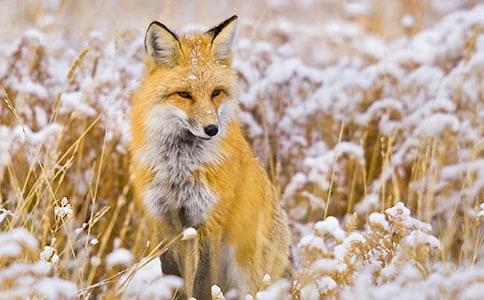 �Ϻ�؂���Խ�(j��ng)��þ�