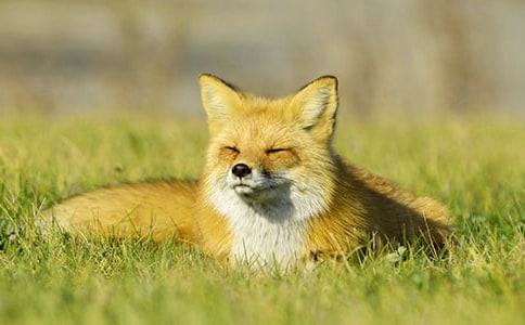 ��؂�͞��f�Č�