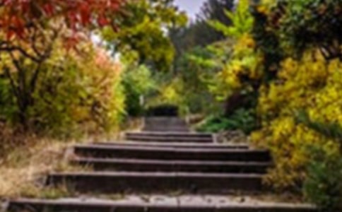 �B�T���f���@���v�⌧(d��o)���~