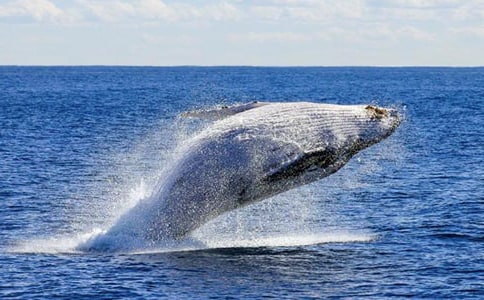 �L�~(y��)������400��8ƪ