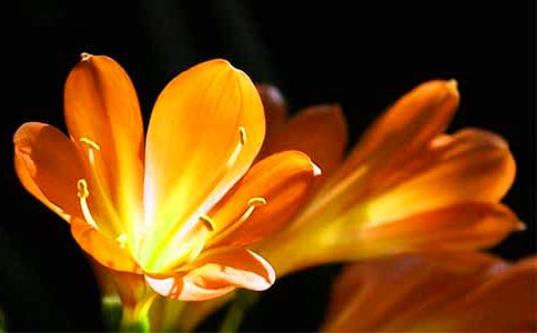 �����m�����B(y��ng)�o(h��)���ע������(xi��ng)Ҫ�c(di��n)