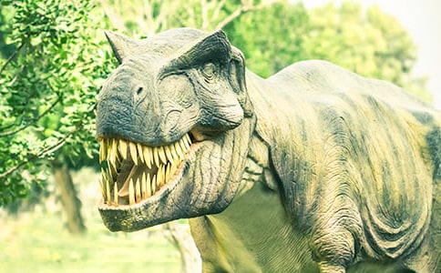 �Ĵ���ؕ���������^��(d��o)���~