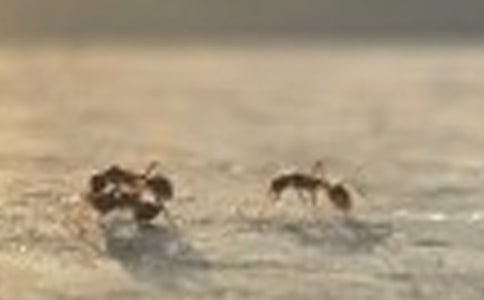 Λρ�^����ӛģ��ϼ�5ƪ