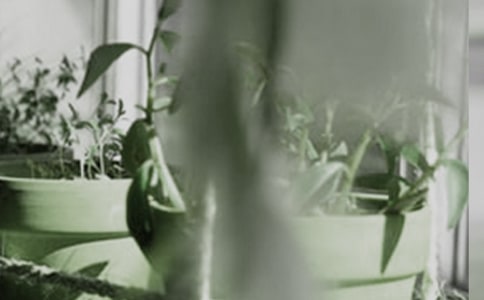 �����FƤʯ���Nֲ����