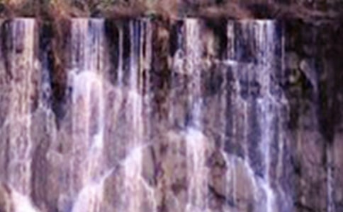 �F���S�����ٲ��Č�(d��o)���~5ƪ