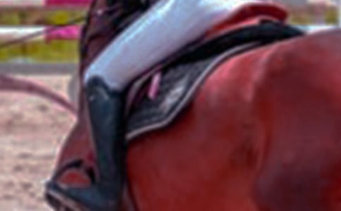 �@���� �����T�R