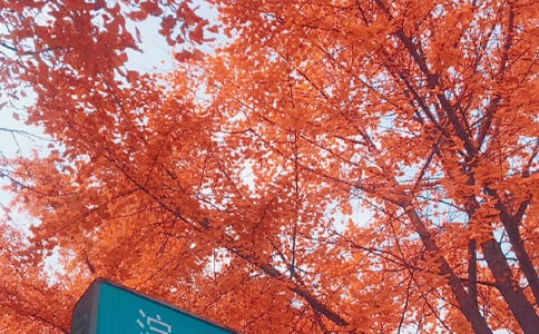 ���ո�������