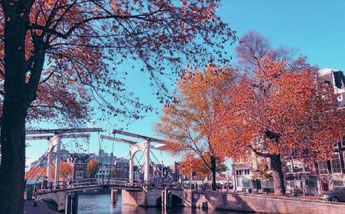 ��������600�֣����x34ƪ��