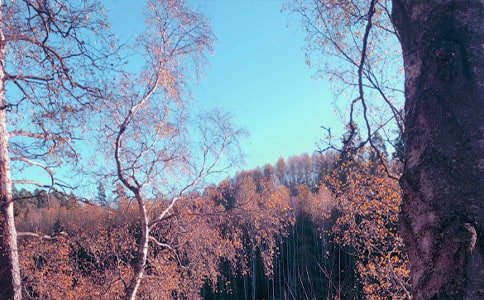 ���Ն����Z�����x180�䣩