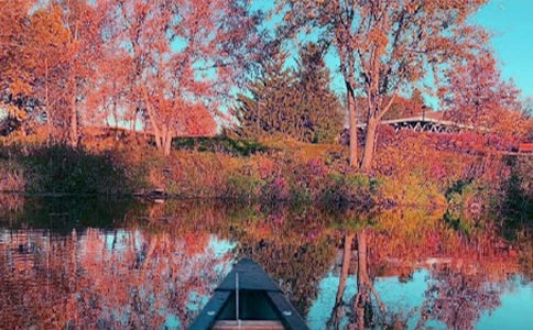 �������ɽ����1000��