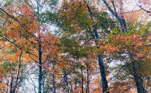 �P(gu��n)�����յ�˼����ӣ����x190�䣩