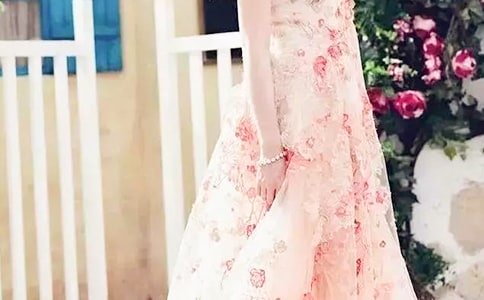 2017�L��T������ȹ�Ӽ���