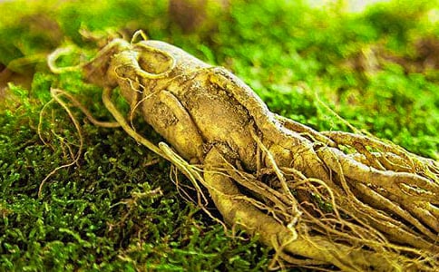 ���˅��ӑ�����չ����ĵ�