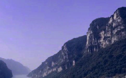 ���{��(d��o)���~������