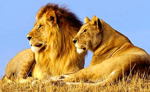 �{���ֵČ�(d��o)���~(8ƪ)