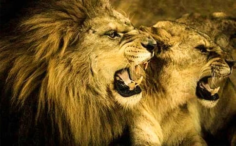 �K�ݪ{���֌�(d��o)���~��ͨ��11ƪ��