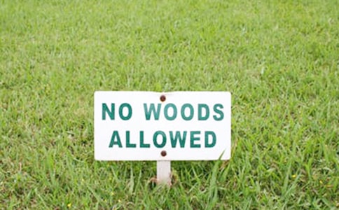 ע�N�����C��(sh��)��ͨ��