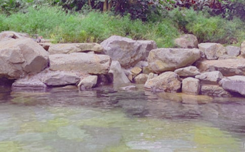 �����ݜ�ȪС�Nʿ