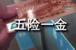 揭曉五險一金的秘密