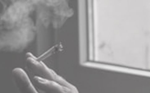 �W(xu��)�������zӑ������15ƪ