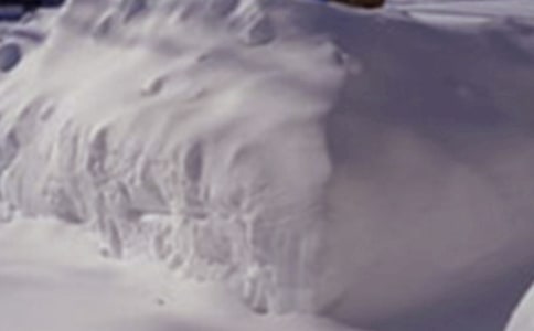 雪災(zāi)應(yīng)急預(yù)案范文