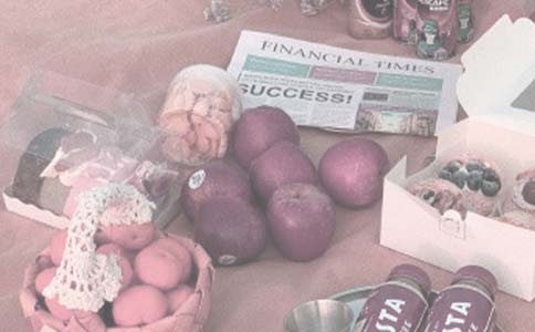 第一次野餐作文400字3篇