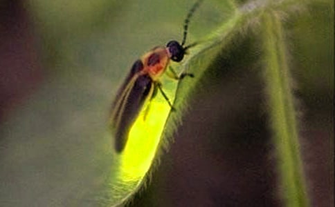 ��Ξ���x֮Ĺ������(d��o)Ӱ�u