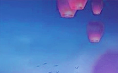 ��Ԫ���������̰�