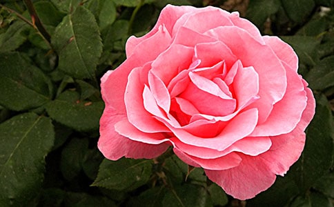 �¼�ˮ�己ֳ����