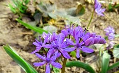 ��(ji��n)���������簲���Z(y��)�R��110��