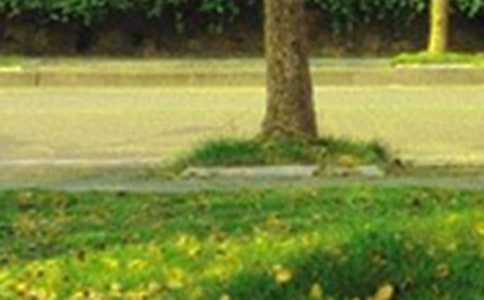 ��(g��)���簲����185��