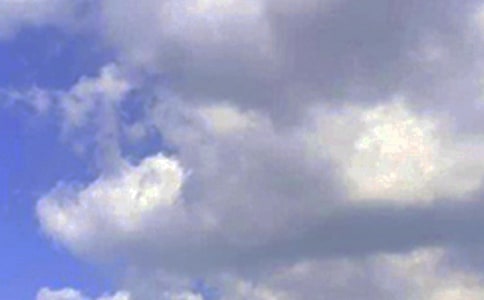 ��Ҋ(ji��n)Ψ���簲���Z(y��)�����x55�䣩