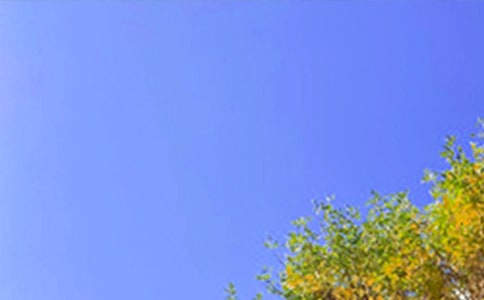 ��������Ȧ�簲���Z95��