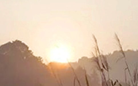 �������簲���Z(y��)�����x180�䣩