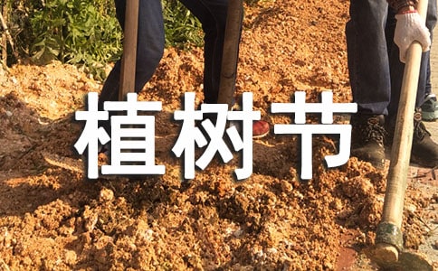 幼兒園植樹(shù)節(jié)活動(dòng)策劃