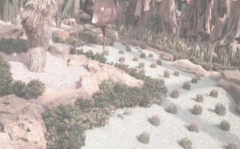 �B�Tֲ��@��(d��o)���~