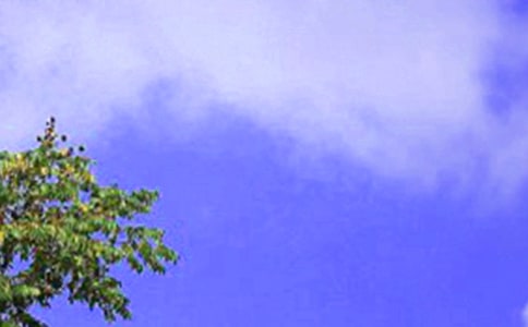 ���糳�[�zӑ������