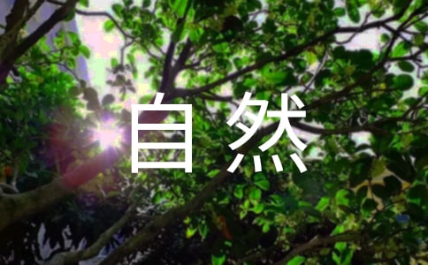 ��(n��i)�ɹ��_���Z�����Ҽ���Ȼ���o�^(q��)�����~����