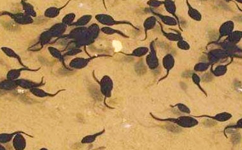 С�����^����ӛ�Ąt