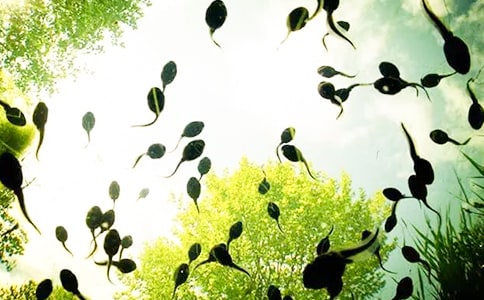 С����ҋ����̌W(xu��)��˼