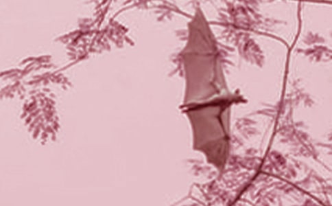 ����������_���̰��OӋ��ͨ��10ƪ��