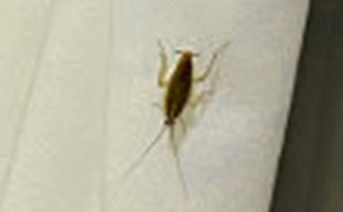 ���x�������400����ƪ