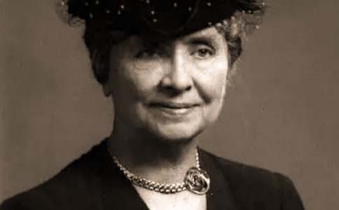 �����P�սo�ҵ�������